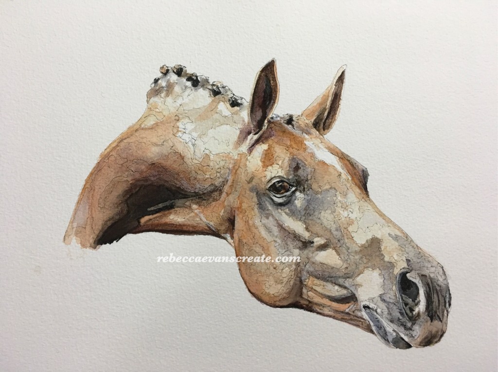 ‘Show me the prize’ watercolour