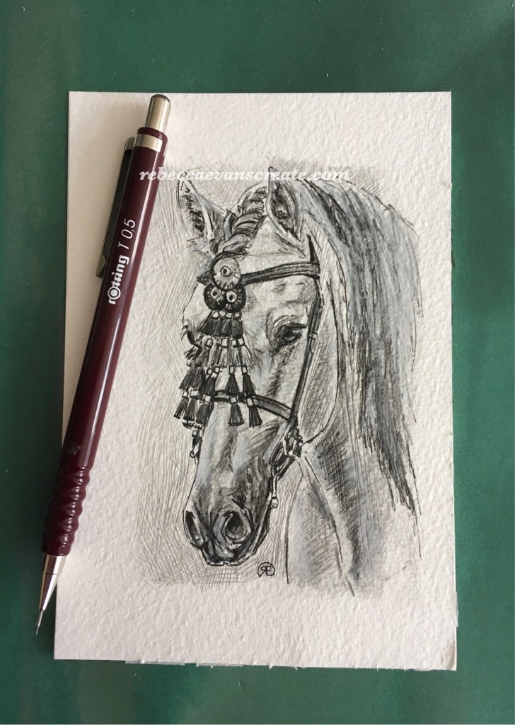 ‘PRE Andalusian study’ graphite and ink