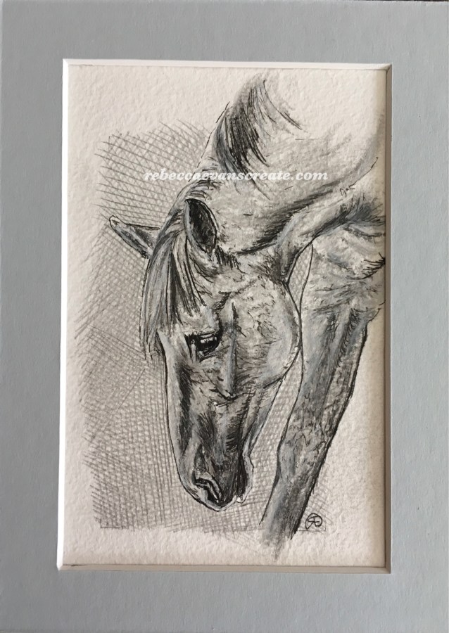 ‘Grazing study’ graphite and ink
