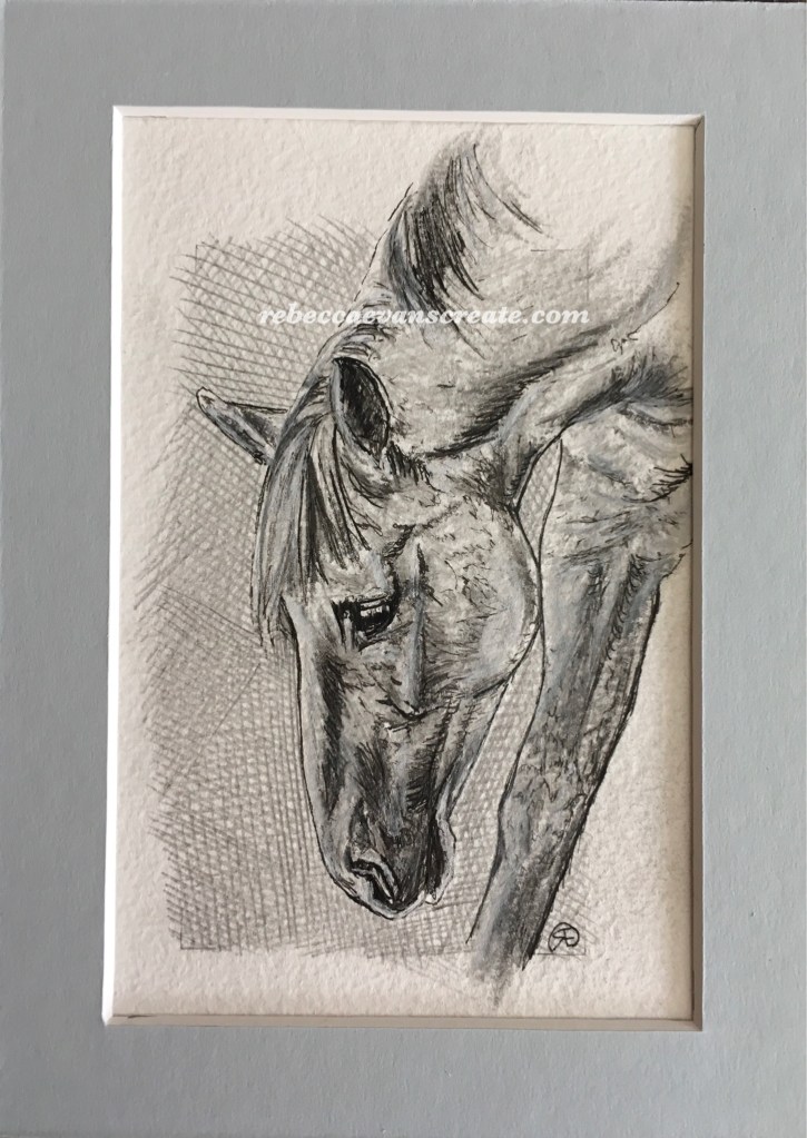 ‘Grazing study’ graphite and ink