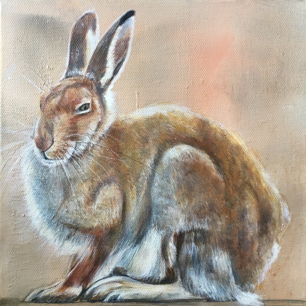 ‘Solitude’ oil 20x20