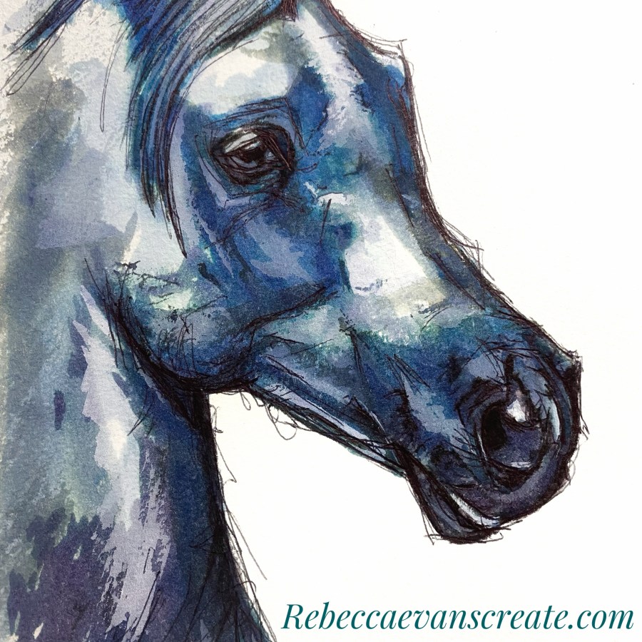 Watercolour and biro blue Arab horse head sketch