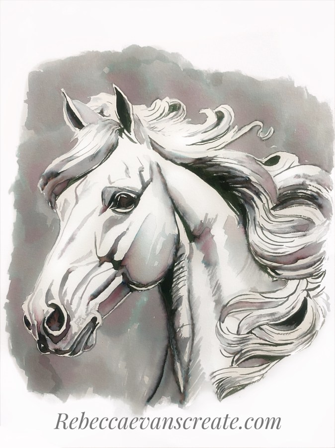 ‘Honor’ ink on card Robert Oster graphite ink horse head sketch.