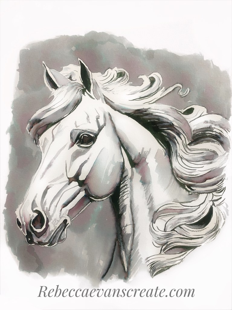 ‘Honor’ ink on card Robert Oster graphite ink horse head sketch.