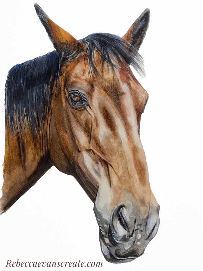 Murray 1 watercolour