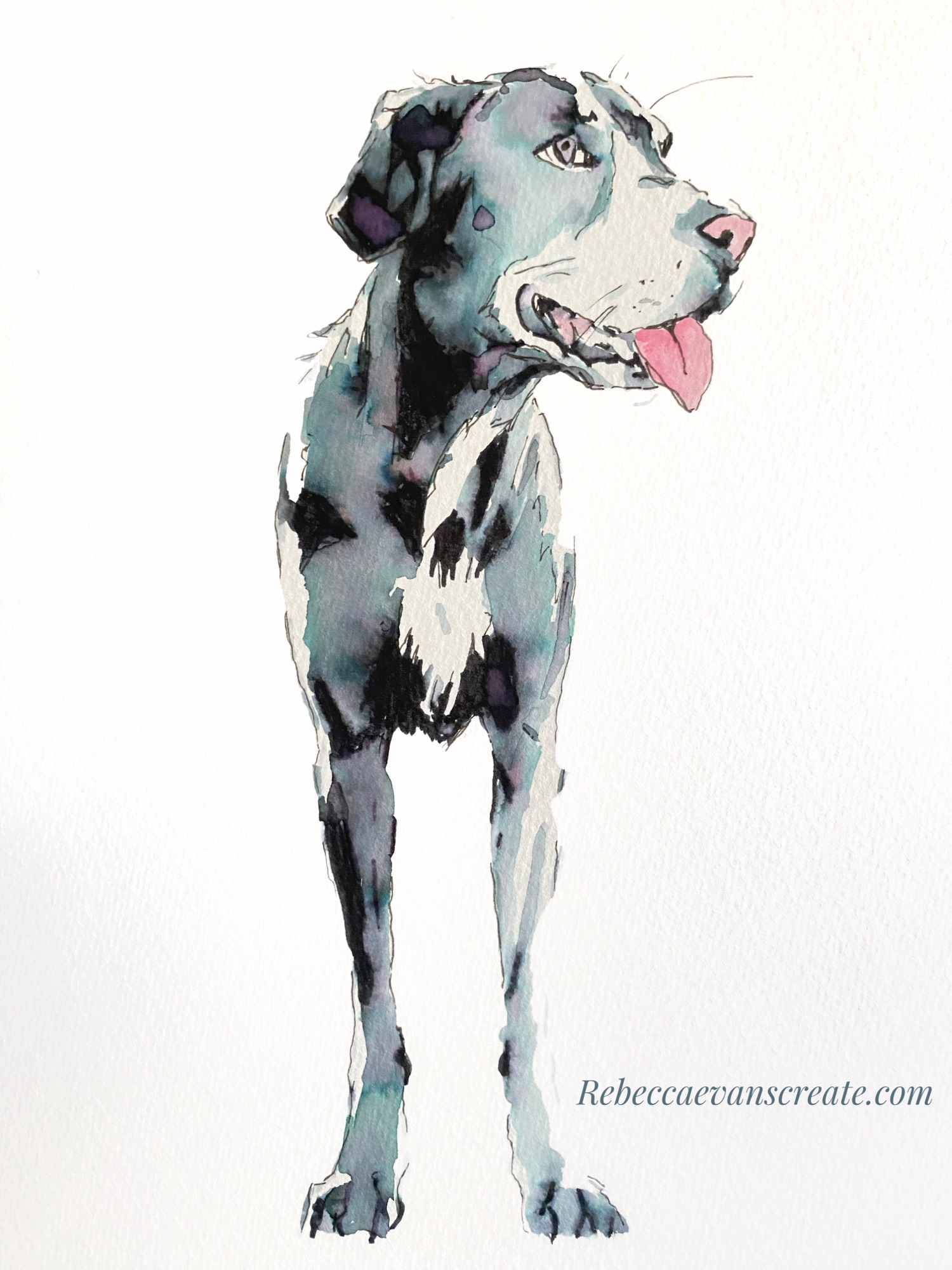 Ink with chromatic effects dog